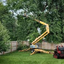 Grass Overseeding in Winthrop, IA